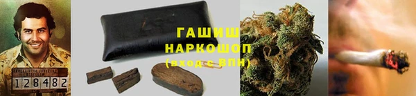 гидра Горно-Алтайск