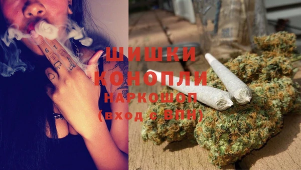гидра Горно-Алтайск