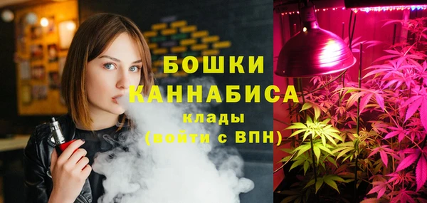 гидра Горно-Алтайск