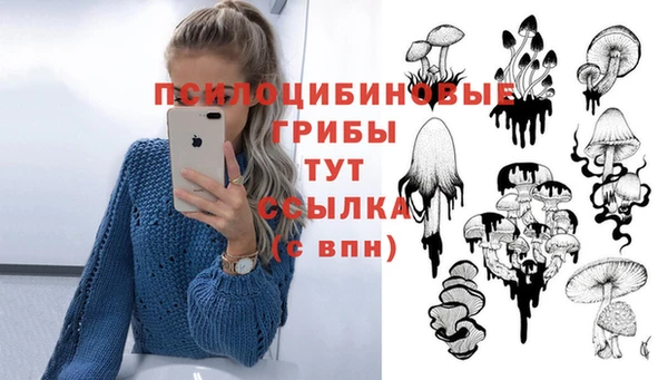 гидра Горно-Алтайск