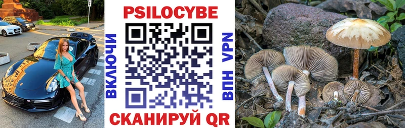 MEGA маркетплейс Минеральные Воды Галлюциногенные грибы MAGIC MUSHROOMS наркота